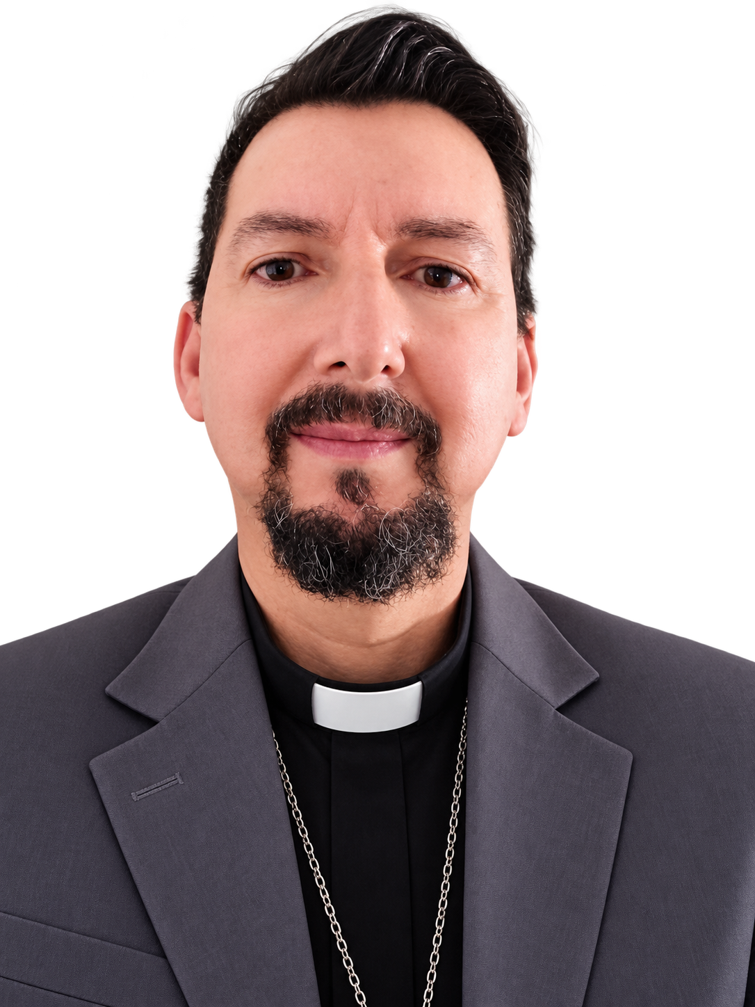Fotografia oficial de Rev. Pe. Luiz Antonio Gomes